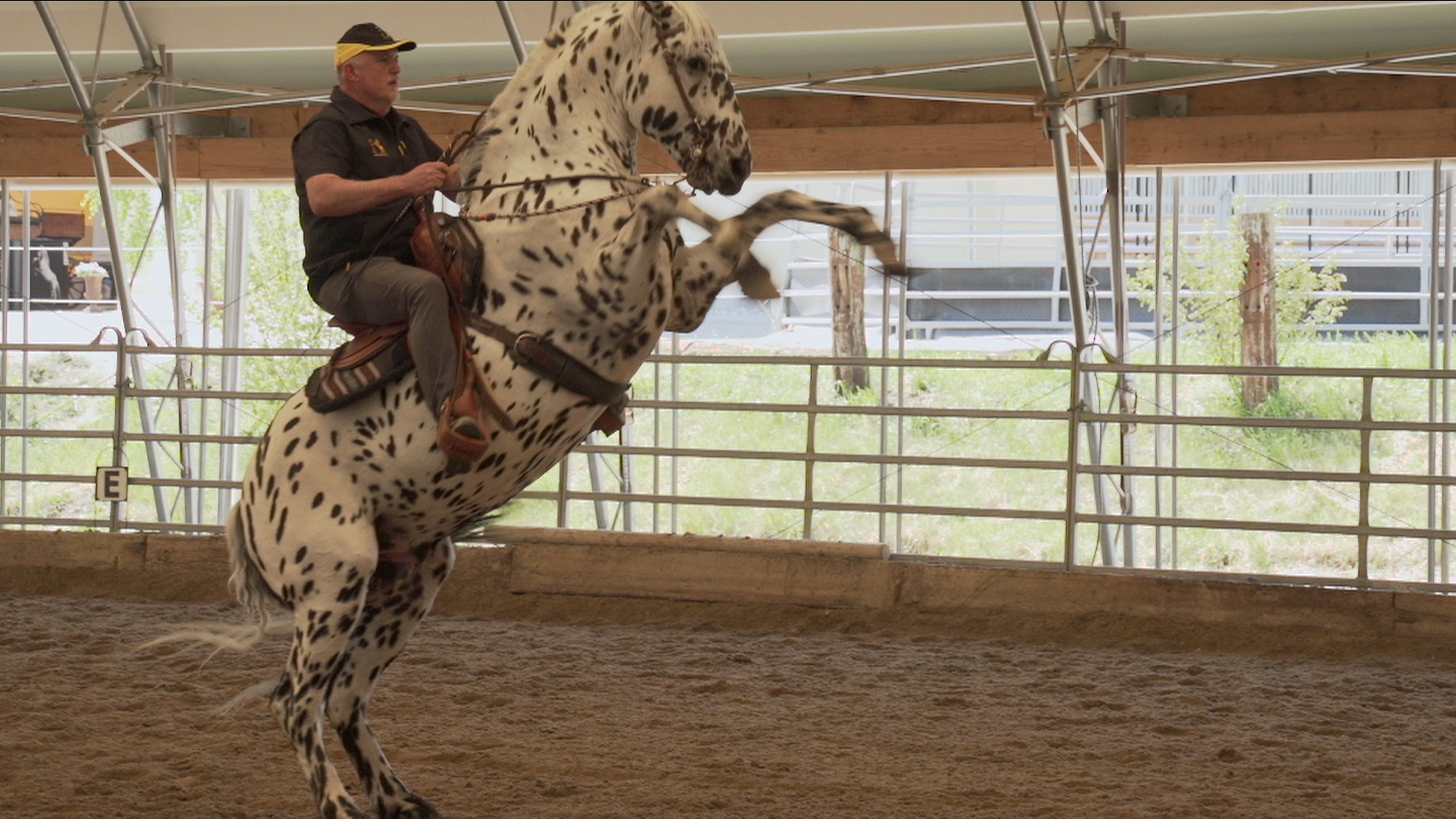 ST_MenschUndPferd_2_Reiten.00_00_22_09.Standbild002