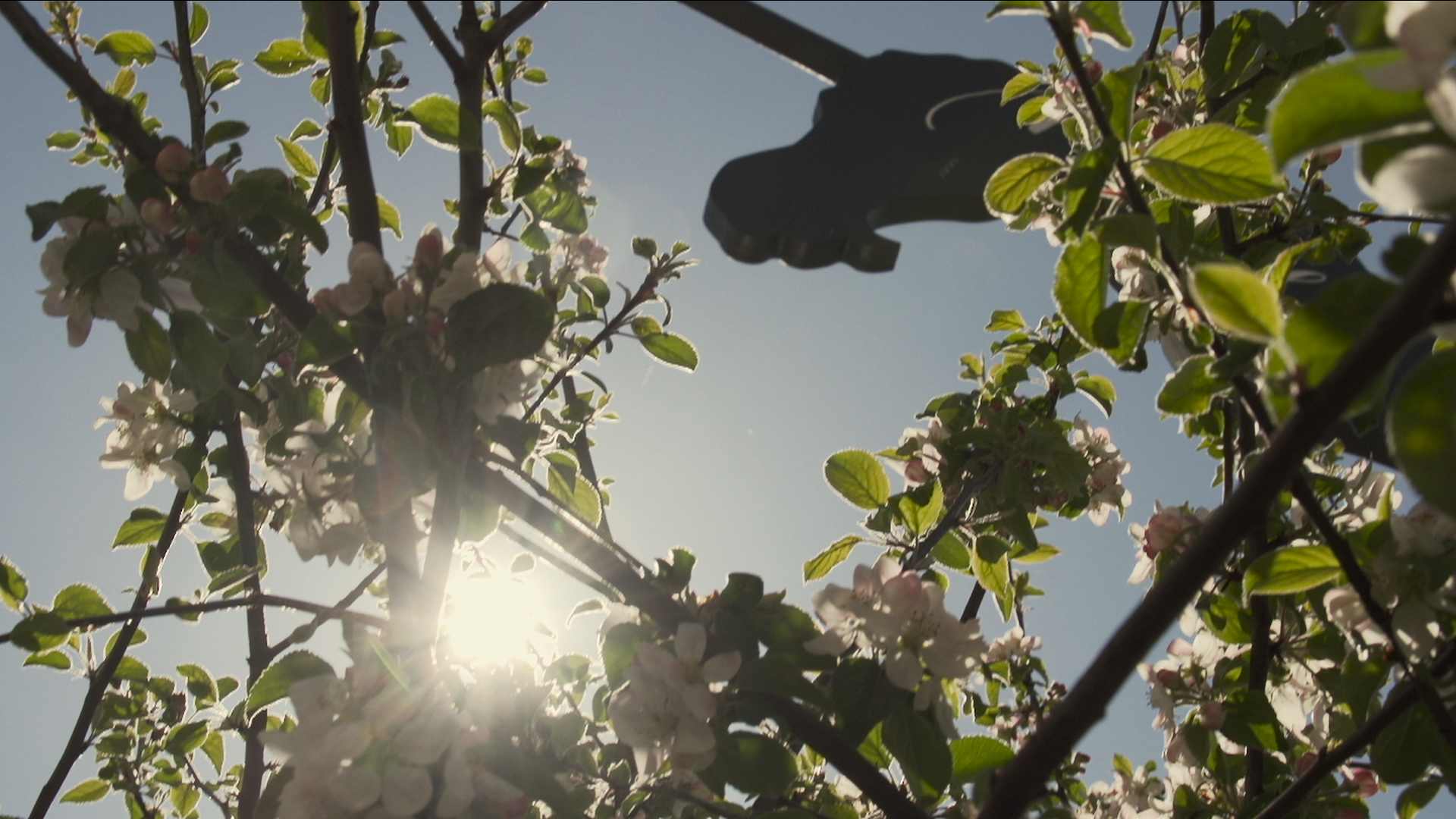 ST_MenschUndPferd_5_WandernNatur.00_00_05_08.Standbild002